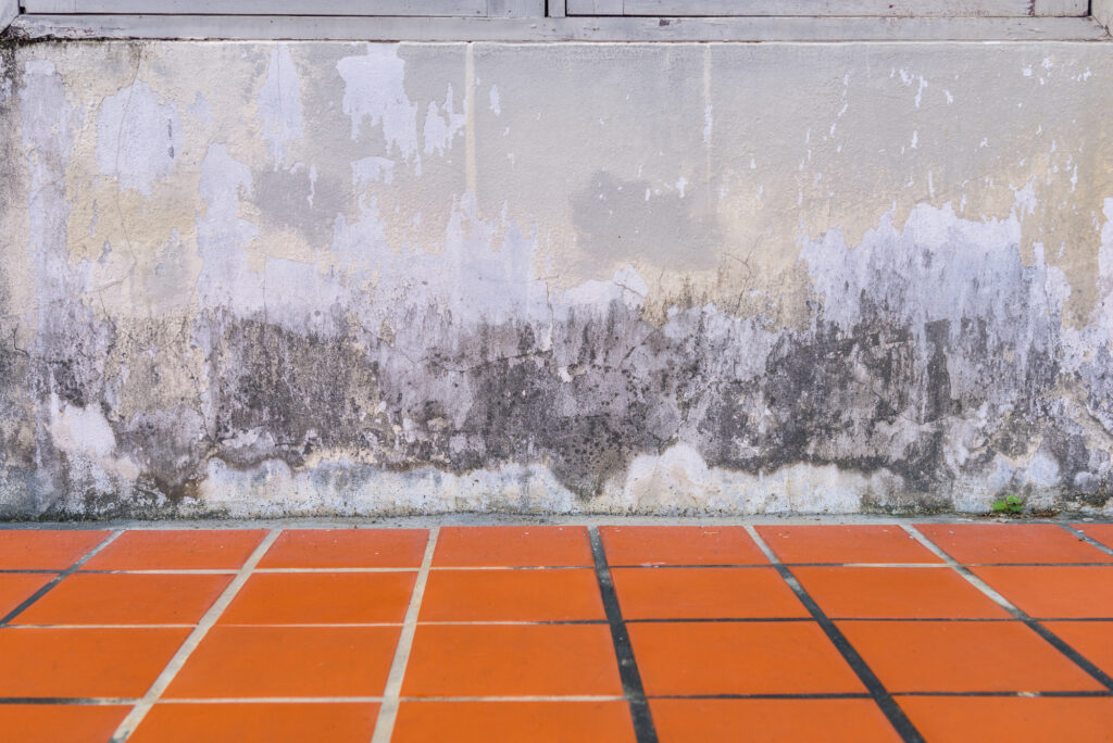 How Pressure Washing Can Eliminate Mold And Mildew Around Your Property 1 How Pressure Washing Can Eliminate Mold and Mildew Around Your Property