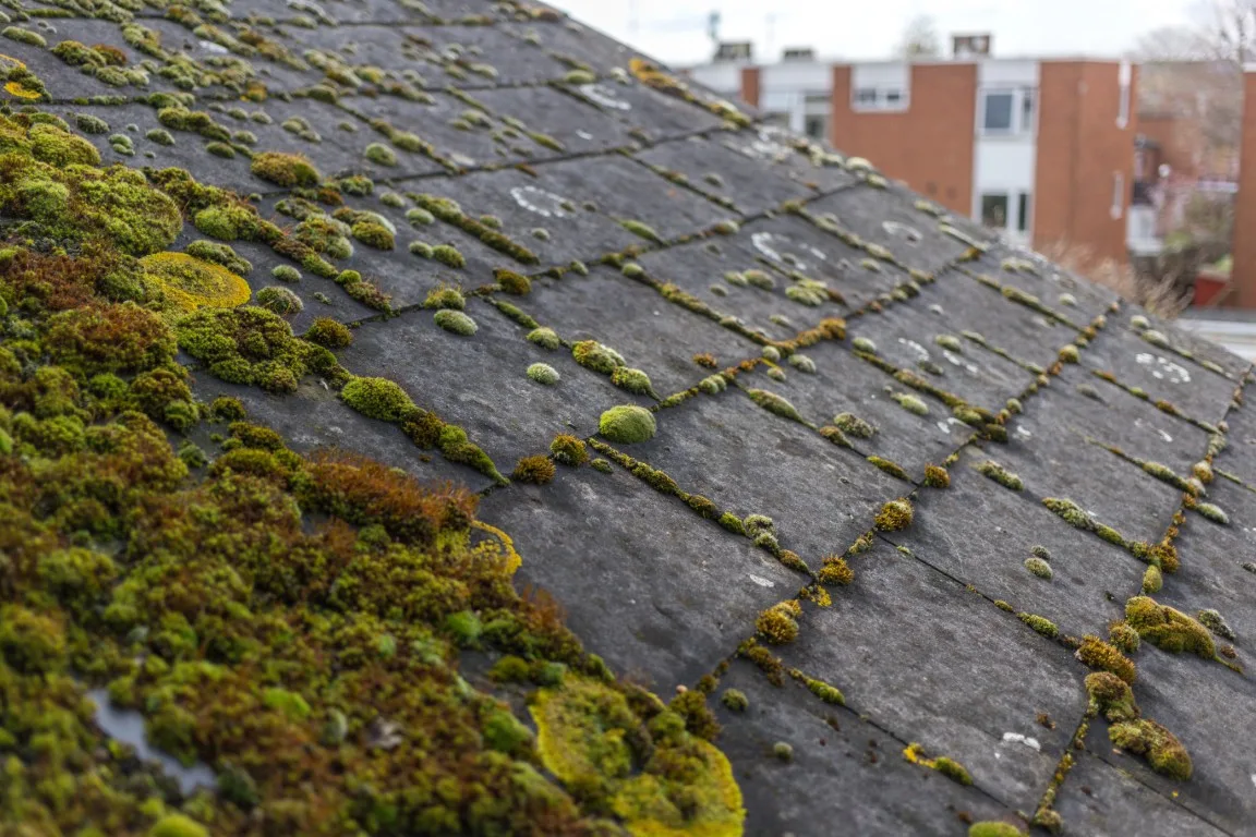 dirty knoxville building